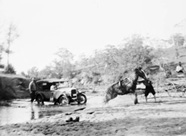 Images for Ultimate Horse Power