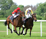 Images for Ultimate Horse Power