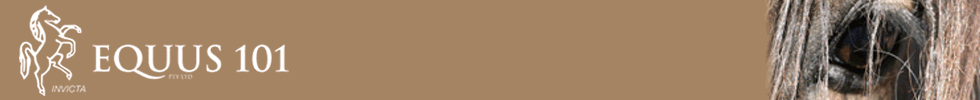 Equus 101 Logo and header banner