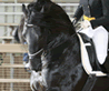 our experts pic