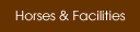 Horses & Facilities