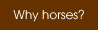 Why Horses?